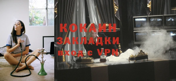 сатива Корсаков