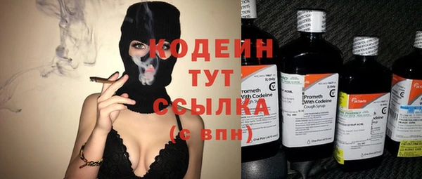 сатива Корсаков