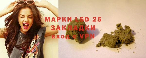 сатива Корсаков
