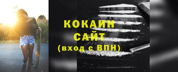гашик Костерёво
