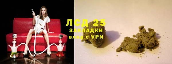 сатива Корсаков