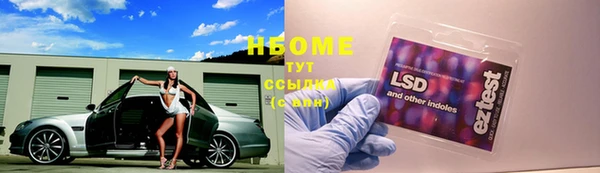 сатива Корсаков