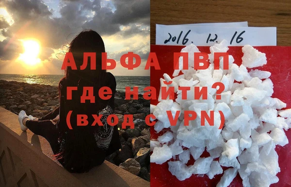 сатива Корсаков