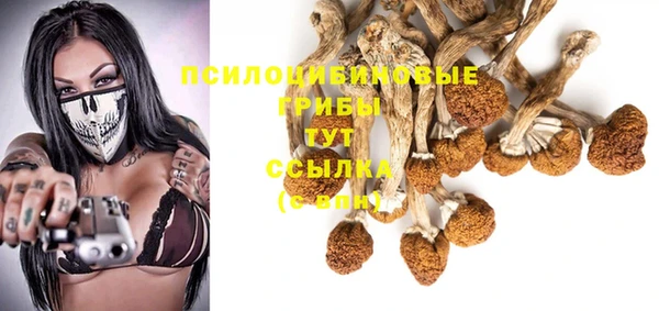 гашик Костерёво
