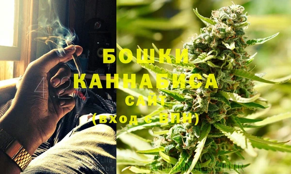 сатива Корсаков