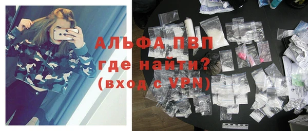 сатива Корсаков