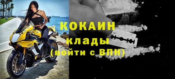 гашик Костерёво