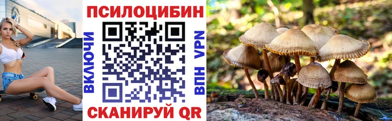 Псилоцибиновые грибы Magic Shrooms  где продают   Ялта 